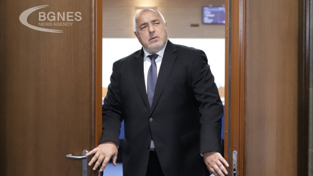 Throughout the European Union, there are majorities of parties that do not tolerate each other but must govern, said Bulgarian political party GERB leader Boyko Borisov